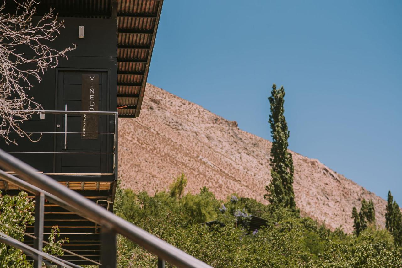 Hotel Vivelo Elqui Landscape Horcon  Bagian luar foto