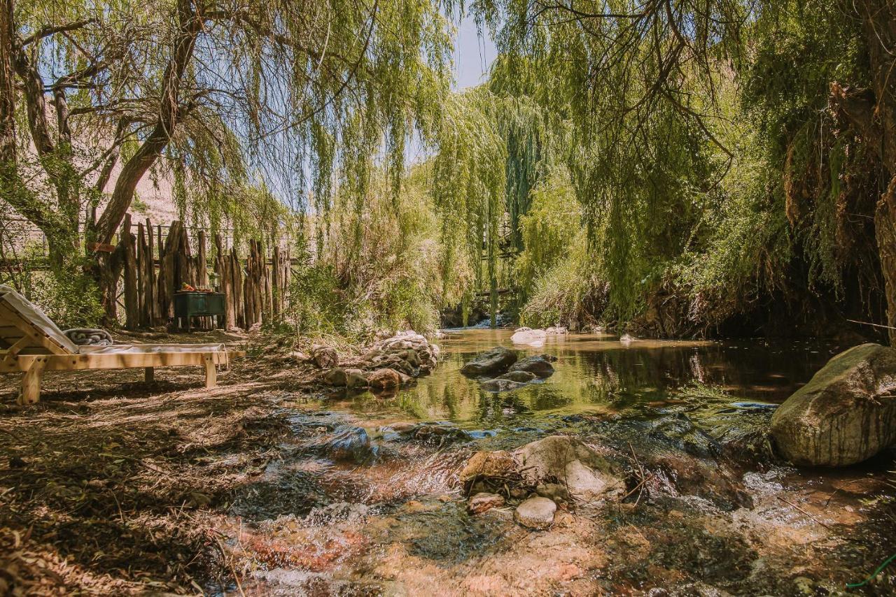 Hotel Vivelo Elqui Landscape Horcon  Bagian luar foto