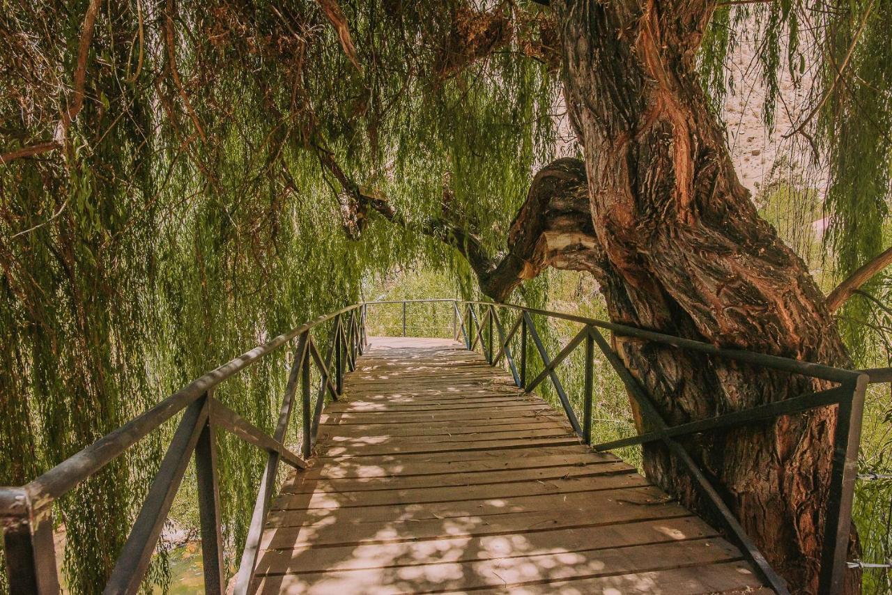 Hotel Vivelo Elqui Landscape Horcon  Bagian luar foto